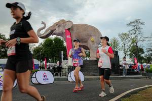 BIB: 
                            <button type="button" onclick="openModal(26528627)" class="btn btn-primary btn-sm float-right btn-popup" data-toggle="modal" data-target=".modal-high-quality">
                        <i class="fas fa-shopping-cart"></i> Add to Cart
                    </button>
                                            <button type="button" onclick="isThisMe(26528627, true)" class="btn btn-success btn-sm float-right btn-popup btn-isme hidden" data-toggle="tooltip" data-placement="bottom" title="นี่คือรูปของคุณใช่ไหม คลิกที่นี่เพื่อเอาเข้าอัลบั้ม">
                        <i class="fas fa-plus"></i> Add to album
                    </button>
                    <button type="button" onclick="isThisMe(26528627, false)" class="btn btn-warning btn-sm float-right btn-popup btn-isnotme hidden">
                        <i class="fas fa-ban"></i> Remove from album
                    </button>